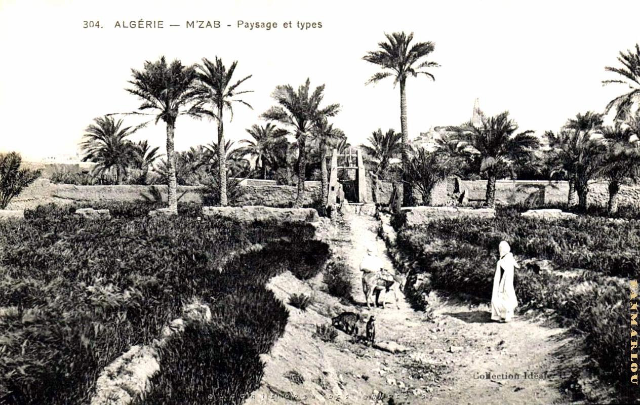M'Zab - Paysage.jpg